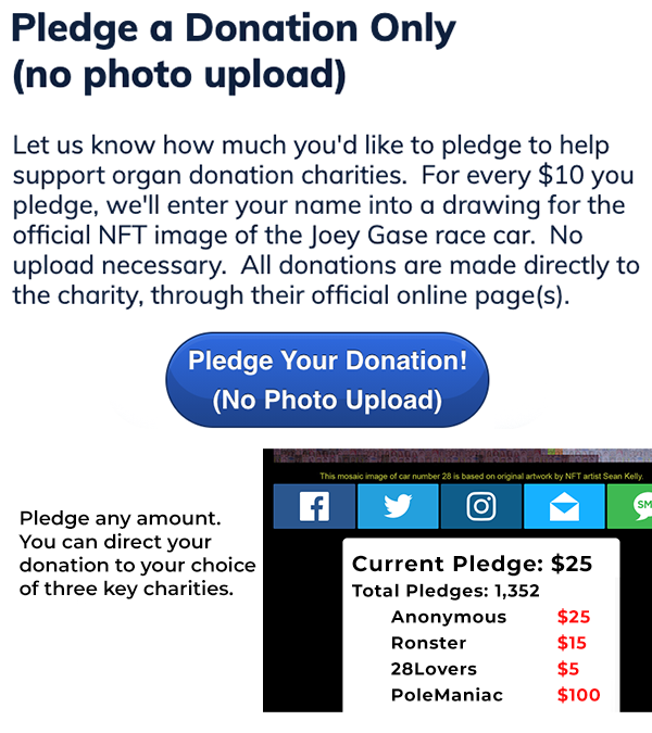 600 x 675 Nascar Landing Page DONATE ONLY box